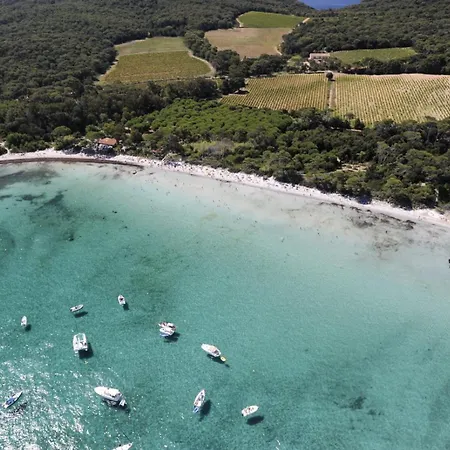 Lejlighed Hyeber Pour 2 Personnes Avec Vue Panoramique, Sur Le Port D'hyeres *