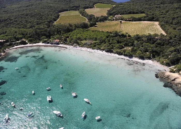 Lejlighed Hyeber Pour 2 Personnes Avec Vue Panoramique, Sur Le Port D'hyeres *